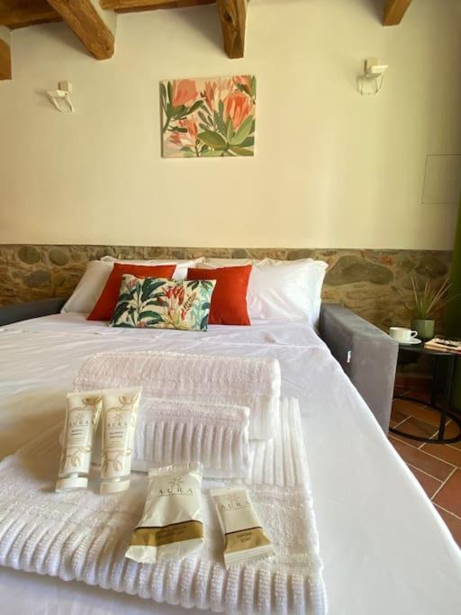 Villa Relax&Business Wi-Fi, Tv Hd, Parcheggio Gratuito à Capannori Extérieur photo